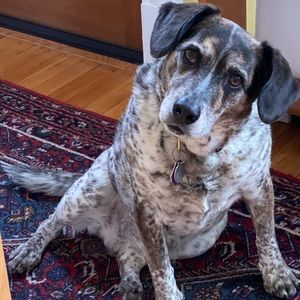 Meet your Posher, Nathan